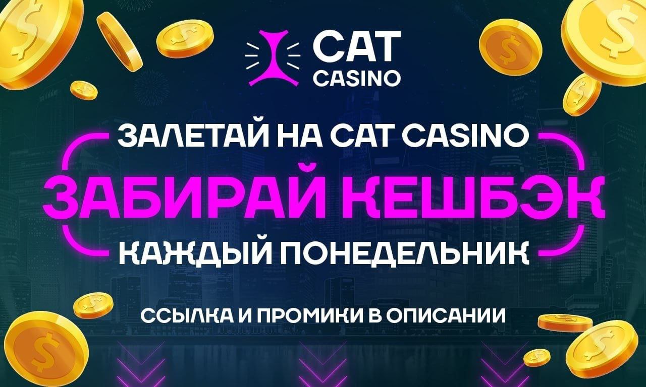 CATCASINO cashback.jpg