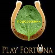 PlayFortuna.jpg